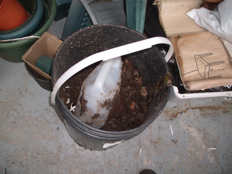 Christopher Greaves Winterizing The Vermicomposter 2009_GEDC0003.JPG